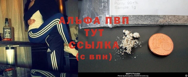 тгк Абаза