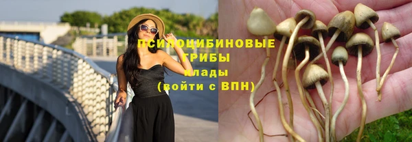 твердый Абинск