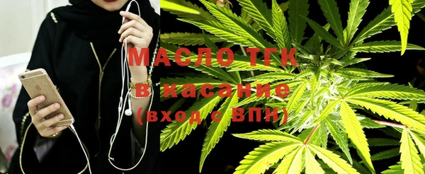 тгк Абаза