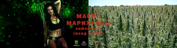 тгк Абаза